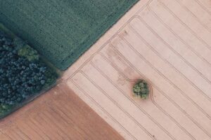 Routine Inspections: A Necessity