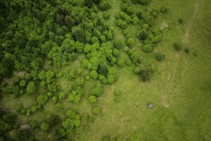 Vendor Coordination in Land Management