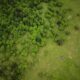 Vendor Coordination in Land Management