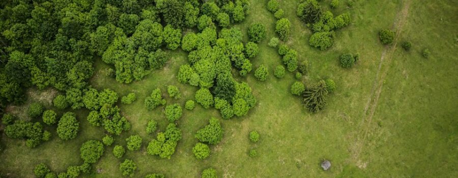 Vendor Coordination in Land Management