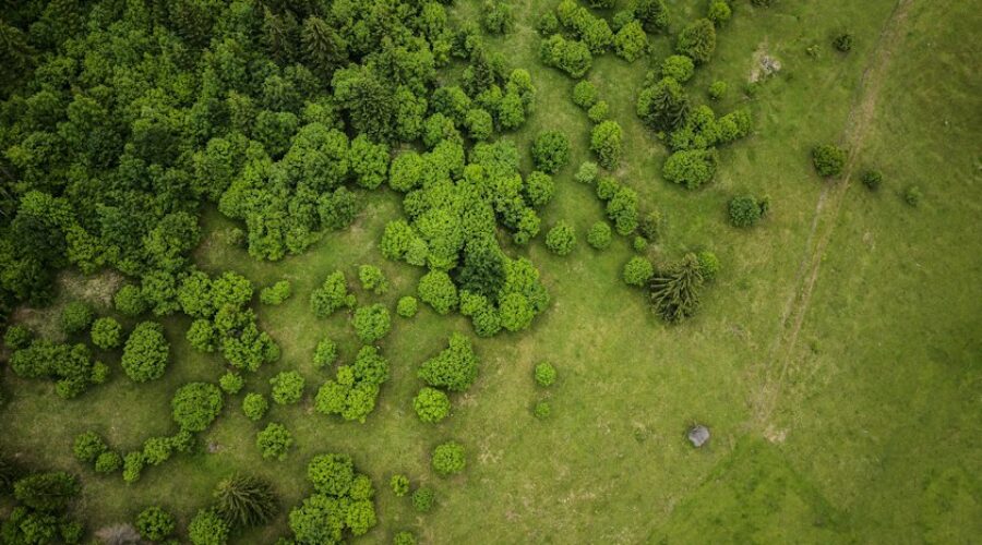 Vendor Coordination in Land Management